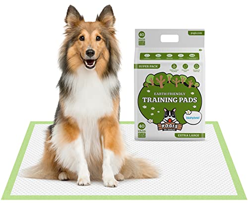 Pogi's Trainingsunterlagen (40 Stück) (60x90cm) — Extra Große,superabsorbierende, erdfreundliche Hunde-Trainingskissen für mittelgrosse bis große Hunde von Pogi's Pet Supplies