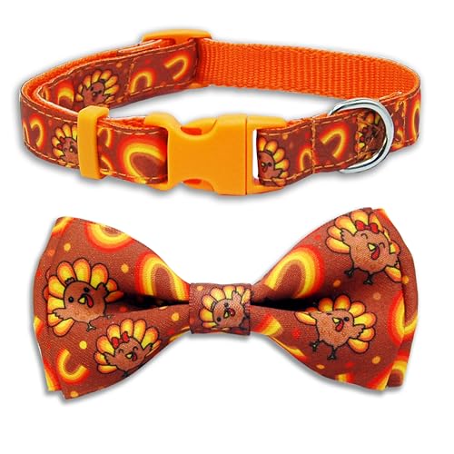 Thanksgiving-Hundehalsband, verstellbar, Herbst-Haustier-Halsband mit niedlichem Truthahn- und Regenbogen-Muster, festliches Herbst-Hundezubehör für kleine, mittelgroße und große Hunde von Pohshido