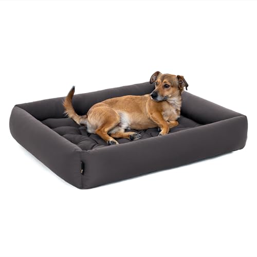 Pointer | Hundebett Kleine Hunde - Orthopädisches Hundebett mit Herausnehmbarer Matratze, Waschbar bis 95°C, Trocknergeeignet, Kratzfest & Bissfest, Made in Germany (M - 70x60 cm, Anthrazit) Pointer | Hundebett Kleine Hunde - Orthopädisches Hundebett mit Herausnehmbarer Matratze, Waschbar bis 95°C, Trocknergeeignet, Kratzfest & Bissfest, Made in Germany (M - 70x60 cm, Anthrazit) von Pointer
