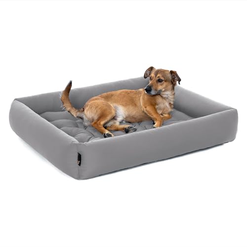 Pointer | Hundebett mit Hundekissen - orthopädisch, waschbar, bequem (XXL - 100x90 cm, Hellgrau) von Doctor Bark