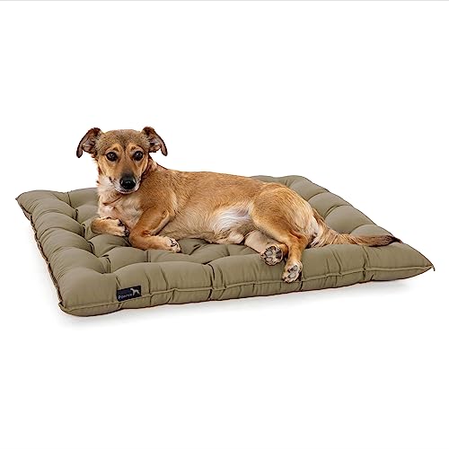 Pointer | Hundekissen Urban - orthopädisch, waschbar, robust, bequem (XXXL - 90x80 cm, Goldbraun) von Doctor Bark