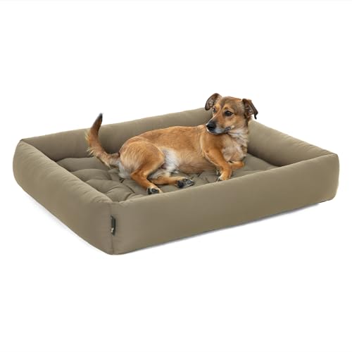 Pointer | Hundebett mit Hundekissen - orthopädisch, waschbar, bequem (XXL - 100x90 cm, Beige) von Doctor Bark