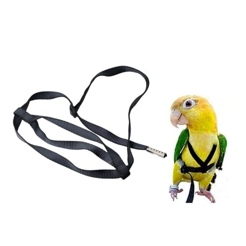 Papagei Vogel Geschirr Leine Schwarz Farbe Einstellbare Tragbare Vogel Harness Nützliche Haustier Outdoor Training Seil Vogel Liefert von Pokinge