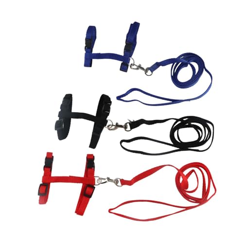 Pokinge 3 stücke Nylon Harness Katze Leine Gürtel Kätzchen Halsband Seil Katze Haustier Seil Einstellbare Katze Gürtel Haustier Traktion Sicherheit Schnur Komfortable Riemen Weste Bekleidung von Pokinge