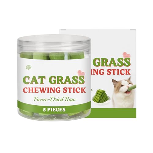 Katzengras -Zahne Stick, Kätzchenkauspielzeug, Bio -Katzen -Snack, Beruhigendes Kätzchen Graskauen, Haarballreduktionstraining Und Spielunterstützung, 80G Für Training, Hairball -Relief, Beruhigende R Katzengras -Zahne Stick, Kätzchenkauspielzeug, Bio -Katzen -Snack, Beruhigendes Kätzchen Graskauen, Haarballreduktionstraining Und Spielunterstützung, 80G Für Training, Hairball -Relief, Beruhigende R von Pokronc
