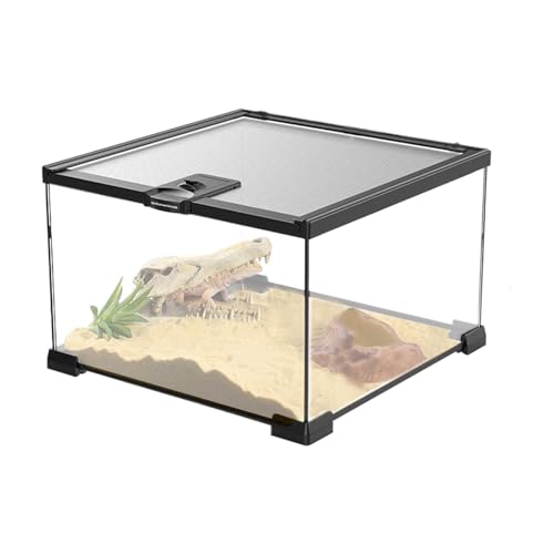 Reptilien-Glas-Terrarium, Reptilien-Tank, Regenwald-Landschafts-Aquarium, sicher und ausbruchsicher, einfache Wartung und Belüftung, 30 x 20 x 15 cm, 30 x 20 x 20 cm, für Schlinggeeckos, Eidechsen Reptilien-Glas-Terrarium, Reptilien-Tank, Regenwald-Landschafts-Aquarium, sicher und ausbruchsicher, einfache Wartung und Belüftung, 30 x 20 x 15 cm, 30 x 20 x 20 cm, für Schlinggeeckos, Eidechsen von Pokronc