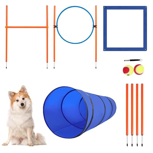 Polar Aurora Agility-Ausrüstung für Hunde, Hinderniskurse für den Hinterhof, Haustier-Outdoor-Spiele mit verstellbarem Hochsprung, Agility-Webstangen, Tunnel, Springring, Pausebox, 2 Bälle, Pfeife und Polar Aurora Agility-Ausrüstung für Hunde, Hinderniskurse für den Hinterhof, Haustier-Outdoor-Spiele mit verstellbarem Hochsprung, Agility-Webstangen, Tunnel, Springring, Pausebox, 2 Bälle, Pfeife und von Polar Aurora