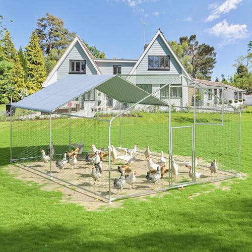 Polar Aurora Hühnerstall aus Metall, Großer Hühnerstall im Freien, begehbarer Hühnerauslauf für 6-20 Hühner, Doppeltür Hühnerhaus mit wasserdichter UV-Schutzabdeckung für Hinterhof (Spire-M) von Polar Aurora