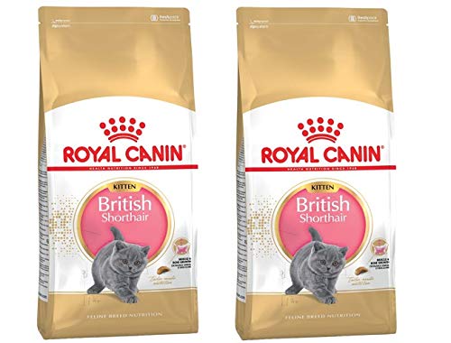 GroßhandelPL Royal Canin British Shorthair Kitten Katzen Trockenfutter 2 x 10 kg von Polbaby