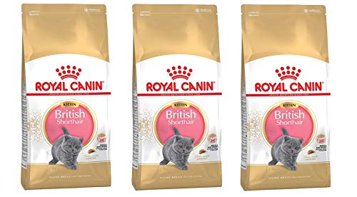 GroßhandelPL Royal Canin British Shorthair Kitten Katzen Trockenfutter 3 x 10 kg von Polbaby