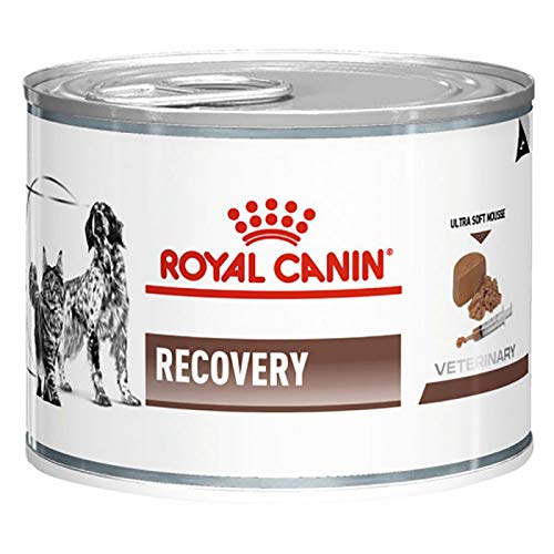 GroßhandelPL Royal Canin Veterinary Diet Canine Recovery Hunde-Nassfutter 96er Pack ( 96 x 195g) von Polbaby