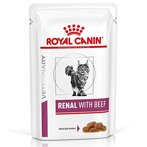 GroßhandelPL Royal Canin Veterinary Diet Feline Renal, Huhn Katzen-Nassfutter 240er Pack (240 x 85g) von Polbaby