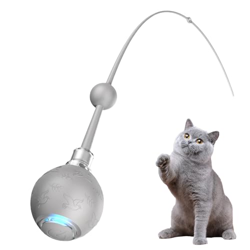 Poludatly Elektrische Katzenball Spielzeug Mit Seil,3 Modi Interaktiver Katzenball | Wiederaufladbares Intelligentes Spielzeug Für Hunde Jagdtraining Automatische Aktivitätsförderung von Poludatly