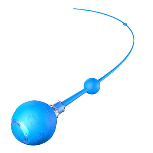 Poludatly Elektrischer Spielball Für Katzen, 3 Modi Interaktiver Katzenball, Wiederaufladbares Intelligentes Spielzeug Für Hunde Jagdtraining Automatische Aktivitätsförderung von Poludatly