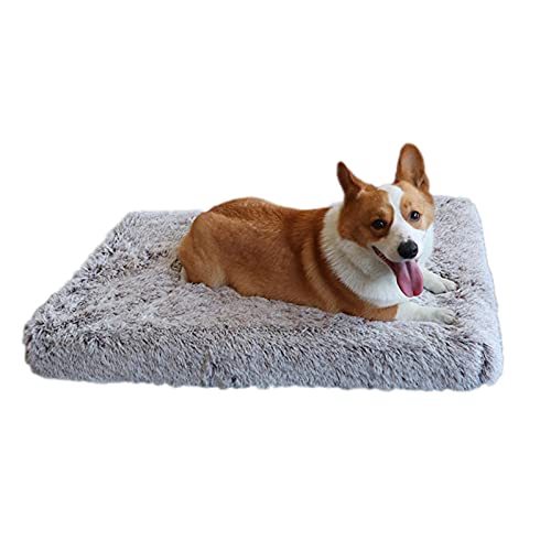 Pomrone Hundebett Langes Plüsch Haustier Sofa Bequeme Flauschige Kistenmatte Kennel Pad Waschbares Hundebett Sofa Für Mittelgroße Kleine Katzen Und Hunde, 40x30cm / 50x40cm Pomrone Hundebett Langes Plüsch Haustier Sofa Bequeme Flauschige Kistenmatte Kennel Pad Waschbares Hundebett Sofa Für Mittelgroße Kleine Katzen Und Hunde, 40x30cm / 50x40cm von Pomrone