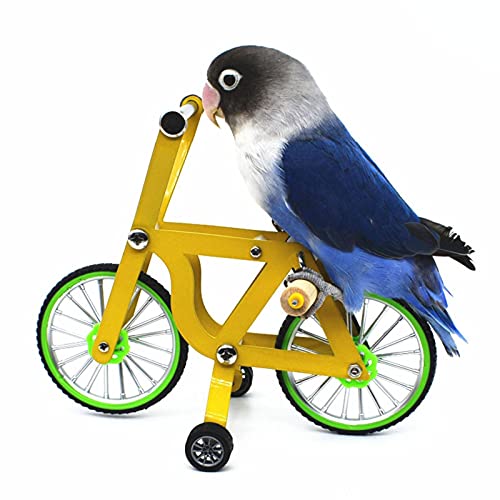 Pomrone Vogel Spielzeug Papagei Intelligenz Trainingsspielzeug Vogel Fahrrad Intellektuelles Spielzeug Zubehör Für Sittich Nymphensittich Conure Wellensittiche Lovebird von Pomrone