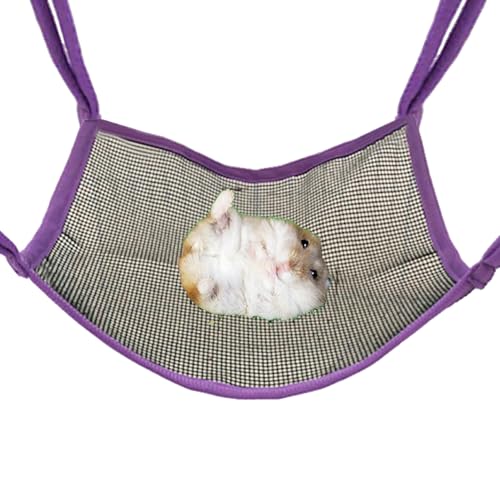 Pomurom Eichhörnchen Hängematte | Hamster Schlafbett - Nagefeste Schaukel Spielzeug Schlafplatz Bewegung Beschäftigung Täglicher Einsatz Pomurom Eichhörnchen Hängematte | Hamster Schlafbett - Nagefeste Schaukel Spielzeug Schlafplatz Bewegung Beschäftigung Täglicher Einsatz von Pomurom