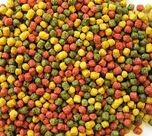 KOI PONDLIFE Koifutter Allround Ø 6mm, 5 Sorten Mix, Koifutter Fischfutter 15 Kg KOI PONDLIFE Koifutter Allround Ø 6mm, 5 Sorten Mix, Koifutter Fischfutter 15 Kg von Pondlife