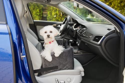 Hunde Autositz, Hunde Autoliege, Hundebett fürs Auto, Größe M Farbe grau von Pondlife