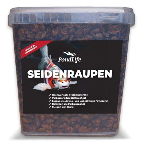 Pondlife Seidenraupen Premium getrocknet (Koisnack) Inhalt 2400 ml von Pondlife