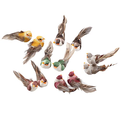 Pongnas Gefälschte Vögel, Künstliche Vögel Dekorative Künstliche Vogeldekoration mit Clamp/Holder -Fixing 12pcs Simulation Schaum Vogel für Handwerk Hochzeitsdekoration Hausgarten Party Accessoires Pongnas Gefälschte Vögel, Künstliche Vögel Dekorative Künstliche Vogeldekoration mit Clamp/Holder -Fixing 12pcs Simulation Schaum Vogel für Handwerk Hochzeitsdekoration Hausgarten Party Accessoires von Pongnas