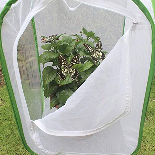 Pongnas Klappkäfig, Caterpillars für Schmetterlinge Kit Professionelles Käfignetz -Tuch 60 X 60 X 90 cm / 23,6 23,6 35,4 Zoll für die Leichter Reinigung Pongnas Klappkäfig, Caterpillars für Schmetterlinge Kit Professionelles Käfignetz -Tuch 60 X 60 X 90 cm / 23,6 23,6 35,4 Zoll für die Leichter Reinigung von Pongnas