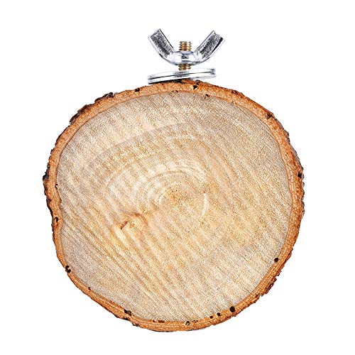Pongnas Vogelperch, Durchmesser 5-7 cm Heigh 1 cm Cockatiel Toys Sittich-Käfig-Zubehör mit Premiumholz, die Aufbewahrung für Kanarische Sitticheet-Cockatiel-Papageispalrow Transportiert Pongnas Vogelperch, Durchmesser 5-7 cm Heigh 1 cm Cockatiel Toys Sittich-Käfig-Zubehör mit Premiumholz, die Aufbewahrung für Kanarische Sitticheet-Cockatiel-Papageispalrow Transportiert von Pongnas