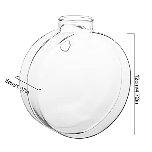 Pongnas Wandvasen für Blumen, Wand Pflanzer für Innenpflanzen Wandpflanzer Hängende Pflanzen Vase Glas für Wohnkultur (Runde Kuchenform) von Pongnas