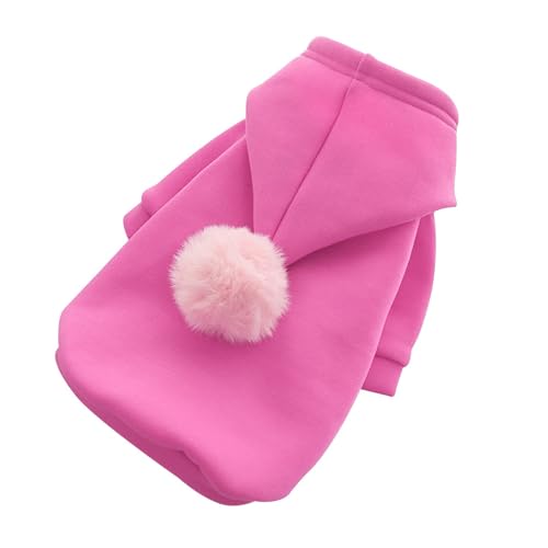 Entzückende, weiche Katzen-Outfits Polyester, bequem für drinnen draußen, süße Tierkostüme für kleine, mittelgroße große Katzen (M) von Poo4kark