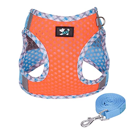 Hundegeschirr für kleine, mittelgroße und große Hunde, kein Ziehen, Welpengeschirr und Leine-Set, Hundegeschirr für Spaziergänge, Lauftraining, kleines Hundegeschirr, Hinterbeine des Katzenrollstuhls Hundegeschirr für kleine, mittelgroße und große Hunde, kein Ziehen, Welpengeschirr und Leine-Set, Hundegeschirr für Spaziergänge, Lauftraining, kleines Hundegeschirr, Hinterbeine des Katzenrollstuhls von Poo4kark