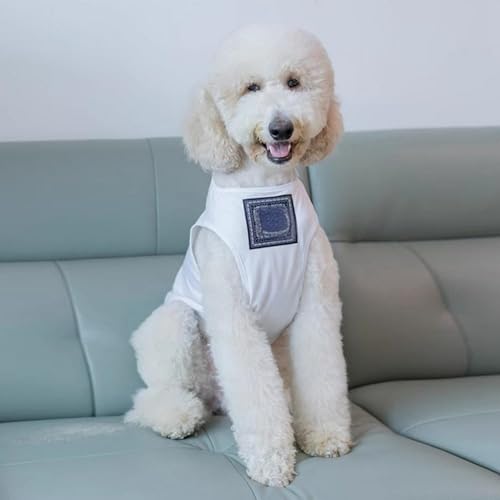 Leichte Sommer-Hundeweste für große Rassen | Coole Haustierkleidung für Hunde mit goldenem Fell (D, One Size) von Poo4kark
