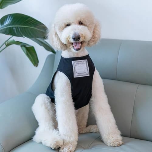 Leichte Sommer-Hundeweste für große Rassen | Coole Haustierkleidung für Hunde mit goldenem Fell (I, One Size) von Poo4kark