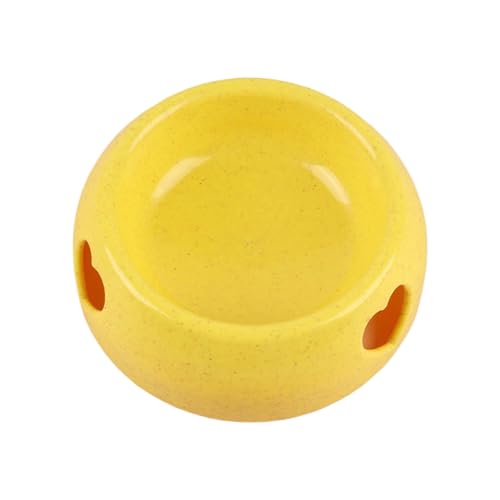 Poo4kark Haustier Hund Futternapf Wassernäpfe Futternapf Kunststoff Weizen Futternäpfe für kleine mittelgroße Hunde Welpen Katze (F, 25X19X7.5cm) von Poo4kark