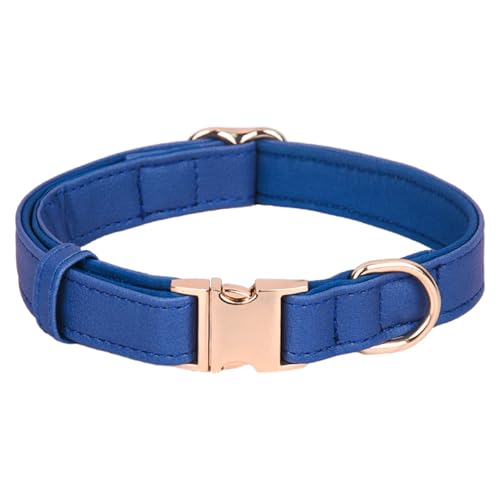 Poo4kark Hundehalsband mit gravierter Metallschnalle, individuell anpassbar, weich gepolstert, reflektierend, für kleine, mittelgroße große Hunderassen, Welpen, 1 Größe, 4 Farben (38,1 (Blue, M) von Poo4kark