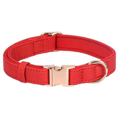 Poo4kark Hundehalsband mit gravierter Metallschnalle, individuell anpassbar, weich gepolstert, reflektierend, für kleine, mittelgroße große Hunderassen, Welpen, 1 Größe, 4 Farben (38,1 (Red, M) von Poo4kark