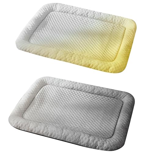 Poo4kark Kühlmatte Bett Pet Ice Mat für Hunde Hundematte Bett Kühldecke Kühlkissen für Katzen Waschbar Haustiere Schlafbett für kleine Haustiere Welpe (2B, 65X50CM) von Poo4kark