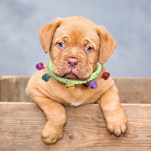 Poo4kark Outdoor Weiches Haustierhalsband Acryl für kleine Katzen Hunde, bequem, leicht, verstellbar, für den Innen- Außenbereich (A, One Size) von Poo4kark
