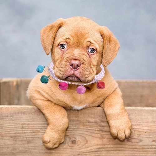 Poo4kark Outdoor Weiches Haustierhalsband Acryl für kleine Katzen Hunde, bequem, leicht, verstellbar, für den Innen- Außenbereich (C, One Size) von Poo4kark