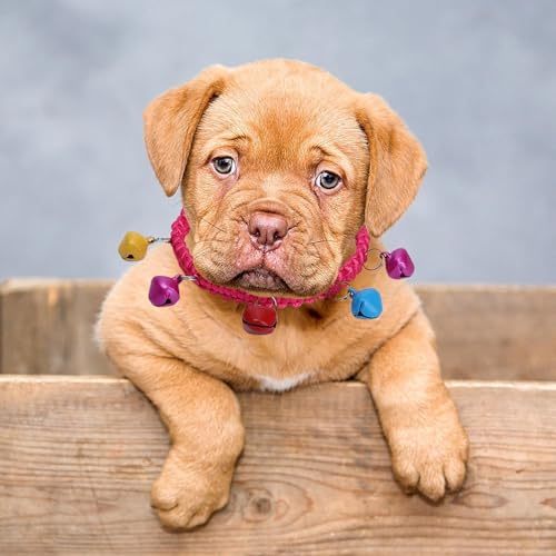 Poo4kark Outdoor Weiches Haustierhalsband Acryl für kleine Katzen Hunde, bequem, leicht, verstellbar, für den Innen- Außenbereich (D, One Size) von Poo4kark