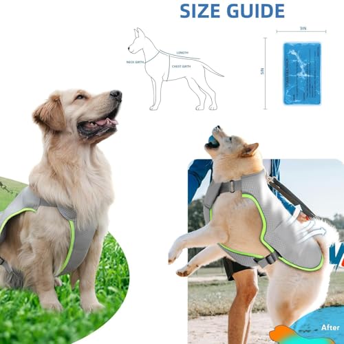 Poo4kark Pet Graue Hundeweste, Sommer-Kühlweste für Haustiere mit verstellbarem Design, atmungsaktiv wärmend für kleine, mittelgroße große Hunde (Grey, 30cm) von Poo4kark