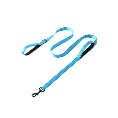 Poo4kark Pet Hundeleine mit Doppelgriff, Verkehrskontrolle, geruchsdicht, leicht zu reinigen, beschichteter breiter Nylongurt mit 2 Griffen, geeignet für Strand/Erkundungen/Training im (BU1, 180cm) von Poo4kark