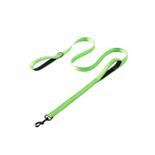 Poo4kark Pet Hundeleine mit Doppelgriff, Verkehrskontrolle, geruchsdicht, leicht zu reinigen, beschichteter breiter Nylongurt mit 2 Griffen, geeignet für Strand/Erkundungen/Training im (Green, 180cm) Poo4kark Pet Hundeleine mit Doppelgriff, Verkehrskontrolle, geruchsdicht, leicht zu reinigen, beschichteter breiter Nylongurt mit 2 Griffen, geeignet für Strand/Erkundungen/Training im (Green, 180cm) von Poo4kark