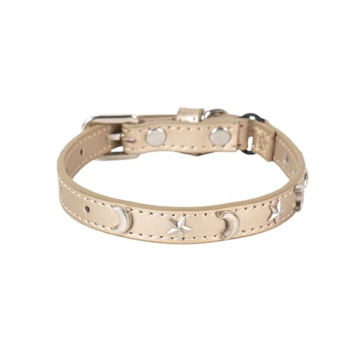 Poo4kark Pet Katzenhalsband, geeignet für Jungen Mädchen, mit elastischem Band, Stern Mond, verstellbare Schnalle, Halsband, geeignet für kleine große Katzen, Größe 20,3 – 30,5 cm (Gold, 27.5cm) von Poo4kark