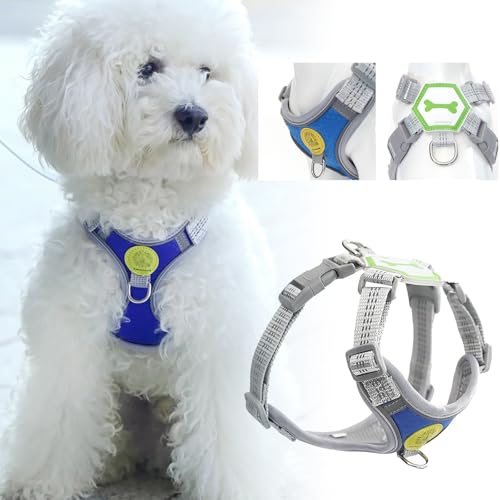 Poo4kark Pet Ultimate Night Haustiergeschirr -Leine, Weste atmungsaktivem Stoff für Hunde Katzen, ideal für Outdoor-Aktivitäten, passend für Brustumfang 65–80 cm Gewicht 45–80 lbs (Blue, L) von Poo4kark