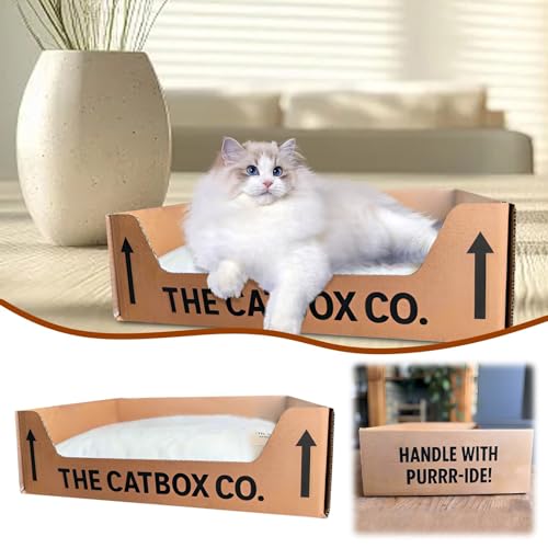 Poo4kark Pet Universelle Katzenmatte für alle Jahreszeiten. Kombination Kraftpapier Polyestermatte. Abnehmbares waschbares Katzenbett. Warm im Winter atmungsaktiv im Sommer. (Light Blue, 38X29X12cm) von Poo4kark