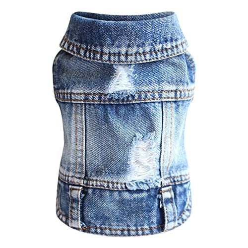 Poo4kark Weste Kleidung Hunde Frühlingsmode für kleine Jeans Coole Katzen Hundehemd Atmungsaktive Jacke Haustierkleidung Designerkleidung Für Kleine Katzen (Blue F, One Size) von Poo4kark