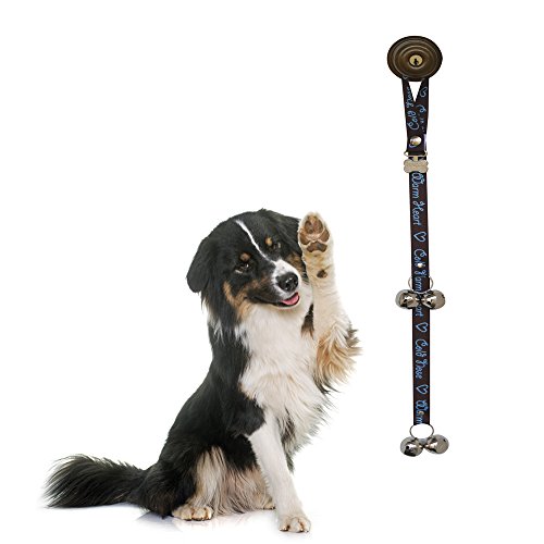Poochie Bells Cold Nose warm Heart Gassitraining, Hunde Türklingel, Stubenrein Machen Poochie Bells Cold Nose warm Heart Gassitraining, Hunde Türklingel, Stubenrein Machen von PoochieBells