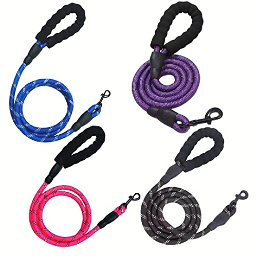 Pops & Coco Hundeleine aus Nylonseil mit gepolstertem Griff, sicherer und bequemer Griff, 1,5 m lang, Schwarz, Blau, Lila oder Pink, Blau Pops & Coco Hundeleine aus Nylonseil mit gepolstertem Griff, sicherer und bequemer Griff, 1,5 m lang, Schwarz, Blau, Lila oder Pink, Blau von Pops & Coco