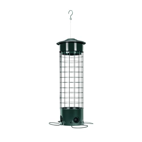 Porceosy Vogelfutterstation aus Metall für den Außenbereich, zum Aufhängen, Eichhörnchensicher, Samen, Futterstation mit Sitzstangen für draußen, Wildvögel, Finken, Blauer Jay, Küken, Grün Porceosy Vogelfutterstation aus Metall für den Außenbereich, zum Aufhängen, Eichhörnchensicher, Samen, Futterstation mit Sitzstangen für draußen, Wildvögel, Finken, Blauer Jay, Küken, Grün von Porceosy