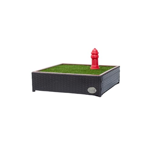 Porch Potty Künstliche Gras-Töpfchenunterlagen für Hunde, klein, 66 x 66 x 17 cm, wiederverwendbar, waschbar, Urinierpads für Hunde, einzigartiges Design, sofortige Drainage, schnell absorbierend, 60 Porch Potty Künstliche Gras-Töpfchenunterlagen für Hunde, klein, 66 x 66 x 17 cm, wiederverwendbar, waschbar, Urinierpads für Hunde, einzigartiges Design, sofortige Drainage, schnell absorbierend, 60 von Porch Potty